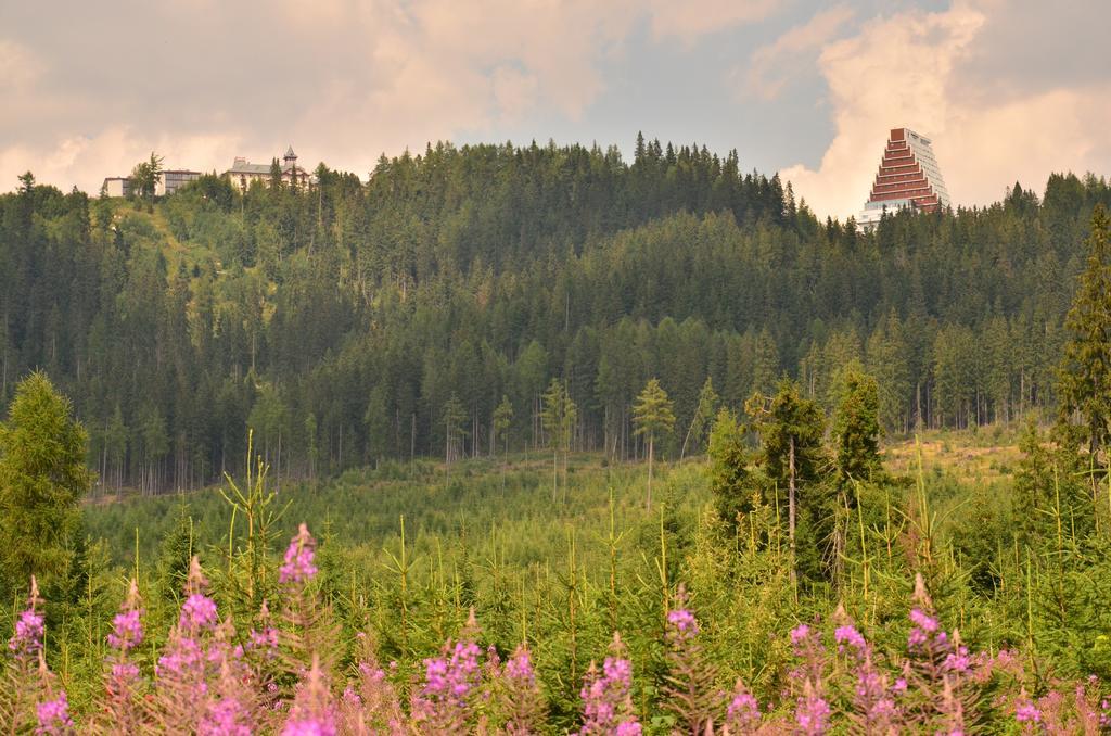 Apartman Panorama 213, Studio Comfort Štrbské Pleso 部屋 写真