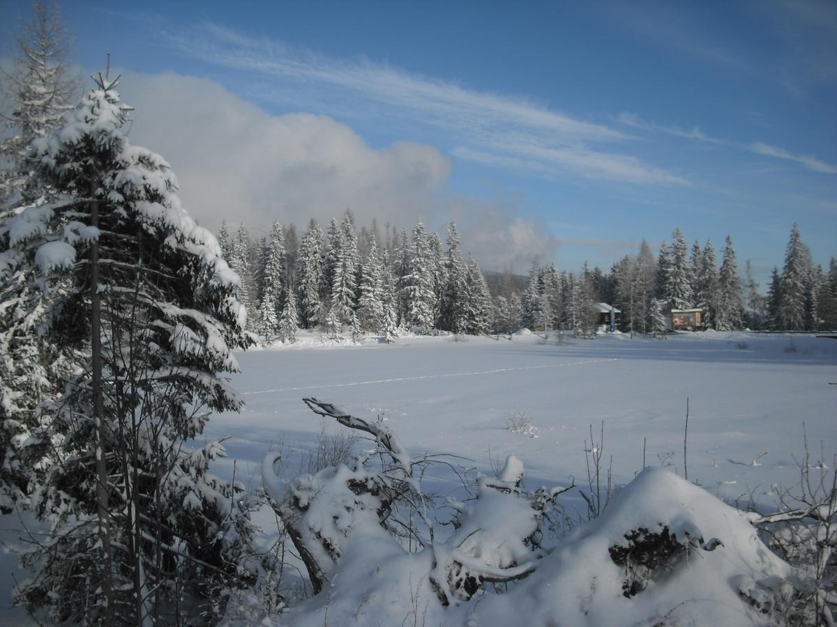 Apartman Panorama 213, Studio Comfort Štrbské Pleso エクステリア 写真