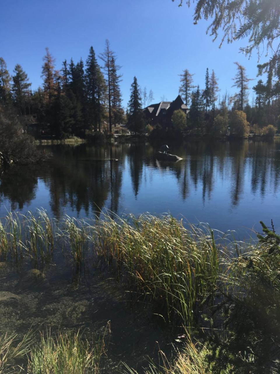 Apartman Panorama 213, Studio Comfort Štrbské Pleso エクステリア 写真
